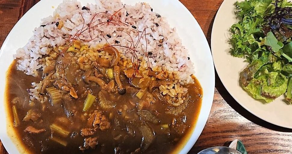 モリンガカレー